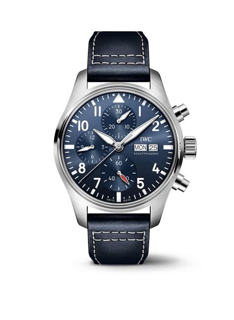 iwc or tudor